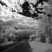 Hills, woods, clouds, and a road to ?
