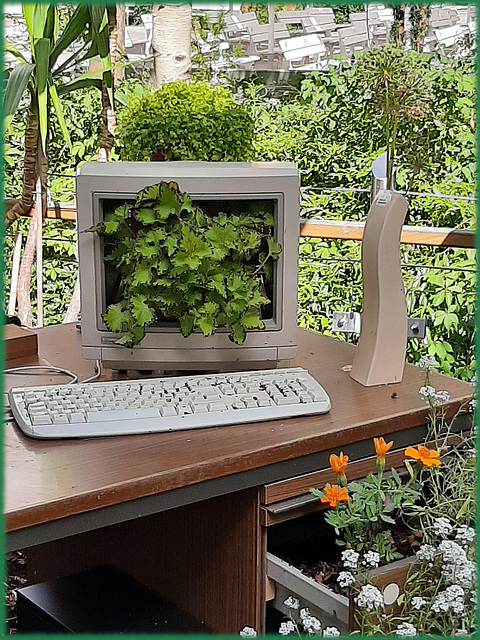 Home-Office in the garden (pip)