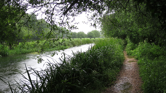 The Itchen Navigation