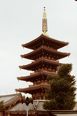 Asakusa Shinto Shrine (49 10)