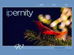 ipernity homepage with #1504