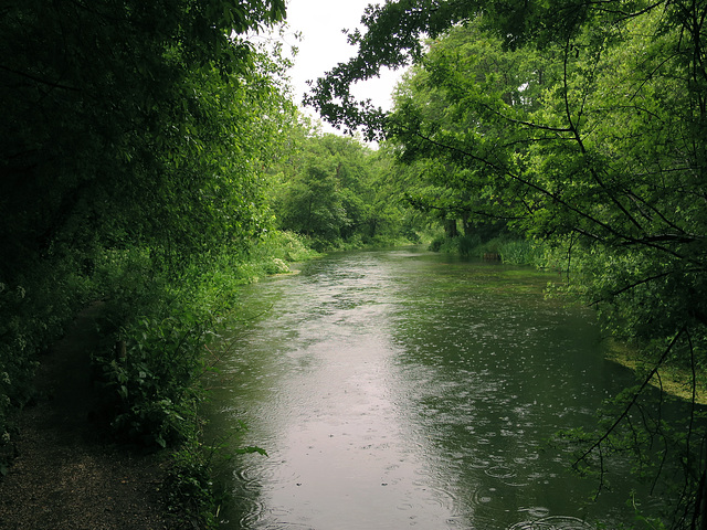 The Itchen Navigation