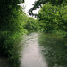 The Itchen Navigation