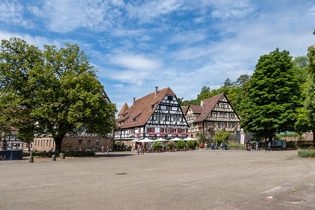 Maulbronn-0222