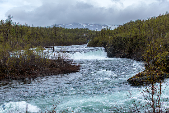 Stekenjokkvägen (Vildmarksvägen)