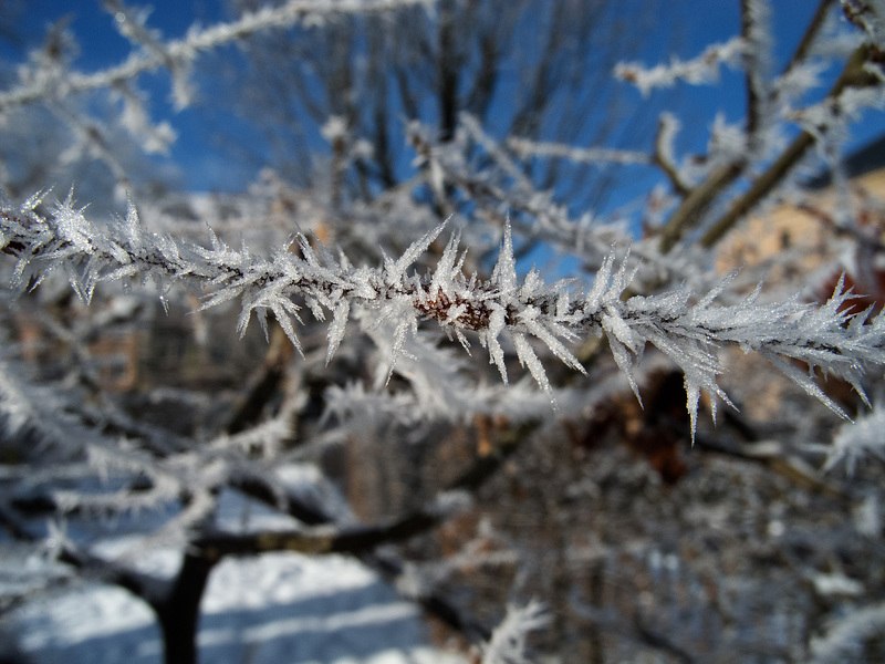 BELFORT: Brouillard givrant du 21 janvier 2016 - 13