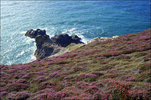 St Agnes' Head