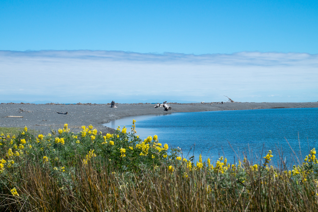 Neuseeland - Wainuiomata Beach