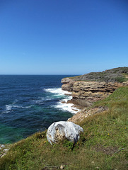 Au boutte du cap (7)