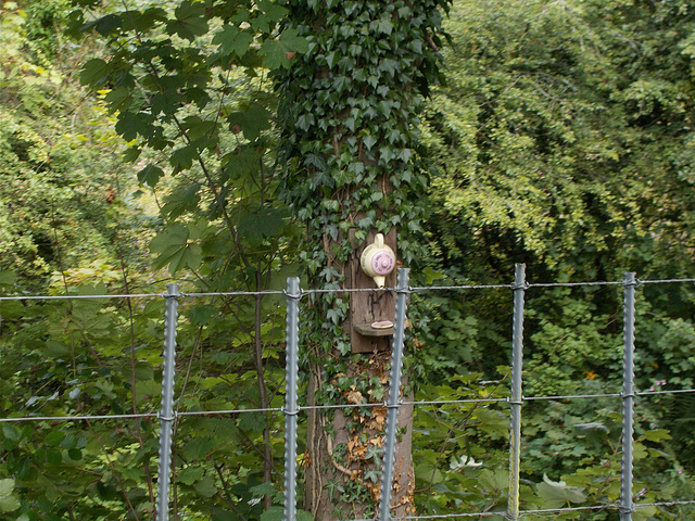 SBB[24]/ELR{9/11} - teapot, tree and fence [HFF]
