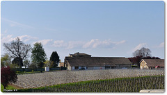 Château de TAYAC (33 Gironde)