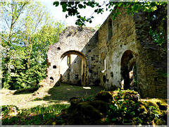 Ruines de l'ancienne église romane de Saint André des Eaux (22)