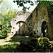Ruines de l'ancienne église romane de Saint André des Eaux (22)