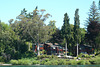 Waikato River View