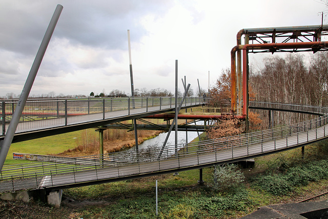 Stegbrücke im Westpark (Bochum) / 14.01.2019