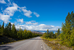Richtung Laponia & Stora Sjöfallet (© Buelipix)