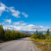 Richtung Laponia & Stora Sjöfallet (© Buelipix)