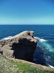 Au boutte du cap (6)