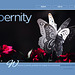 ipernity homepage with #1506