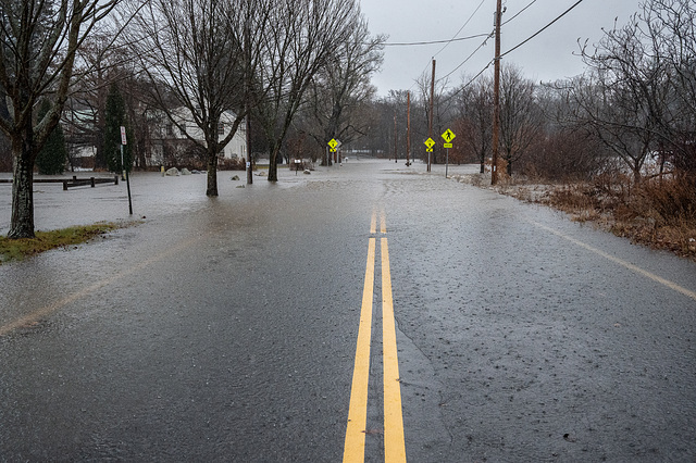 Mill River Flood 12/13/24 - Florence, MA