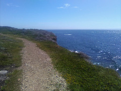 Au boutte du cap (5)