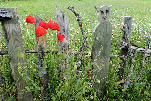 Happy Fellow Fence Friday