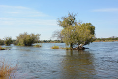 Zambia, The River of Zambezi from the Left Bank