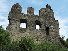 Die Ruine Isenburg ...