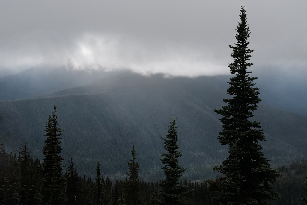 E. C. Manning Provincial Park