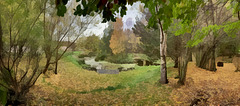 Autumn leaves in the Pond Garden