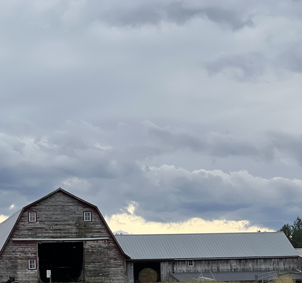 how now gray barn