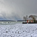 Schneesturm - Snowstorm