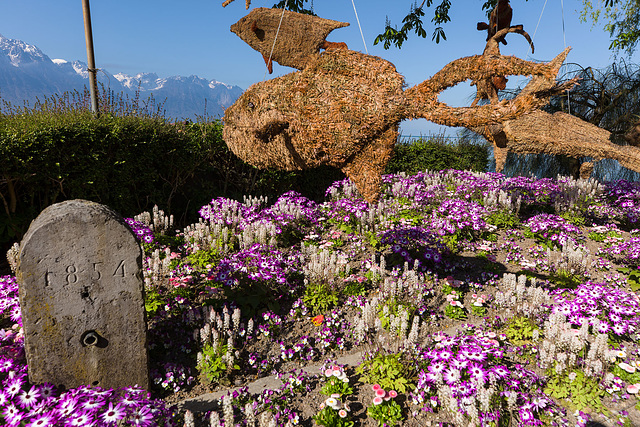 220417 Montreux fleurs