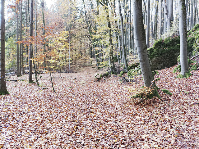 Fränkischer Jakobsweg: Betzenstein - Gräfenberg