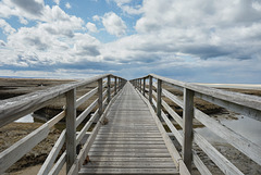 Boardwalk - Sandwich, MA