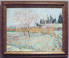 Orchard with Peach Trees and Cypresses by Van Gogh in the Metropolitan Museum of Art, July 2023