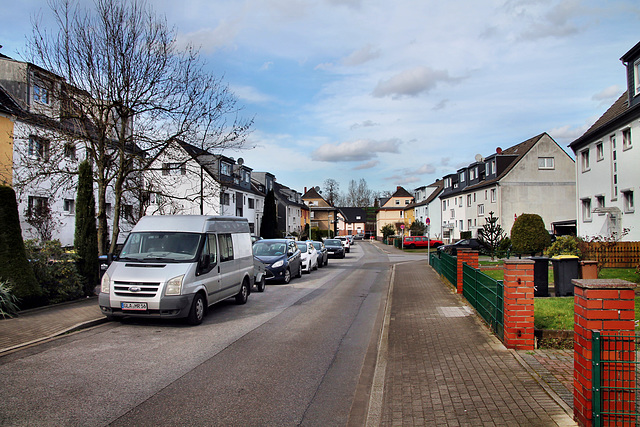 Frauenfelderstraße (Essen-Altenessen) / 2.03.2024