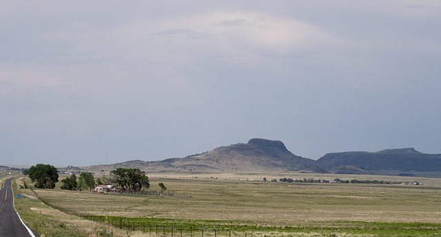 Wagon Mound, NM open range (# 1084)