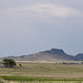 Wagon Mound, NM open range (# 1084)