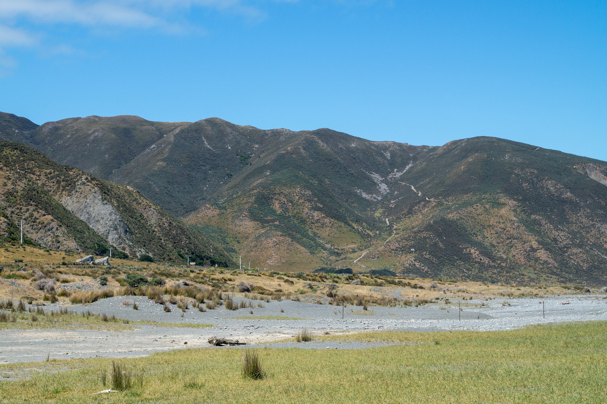 Neuseeland - Wainuiomata Beach