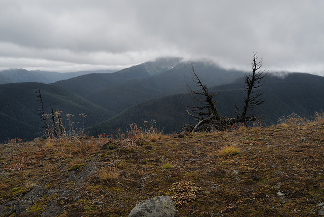 E. C. Manning Provincial Park, Dry Ridge trail