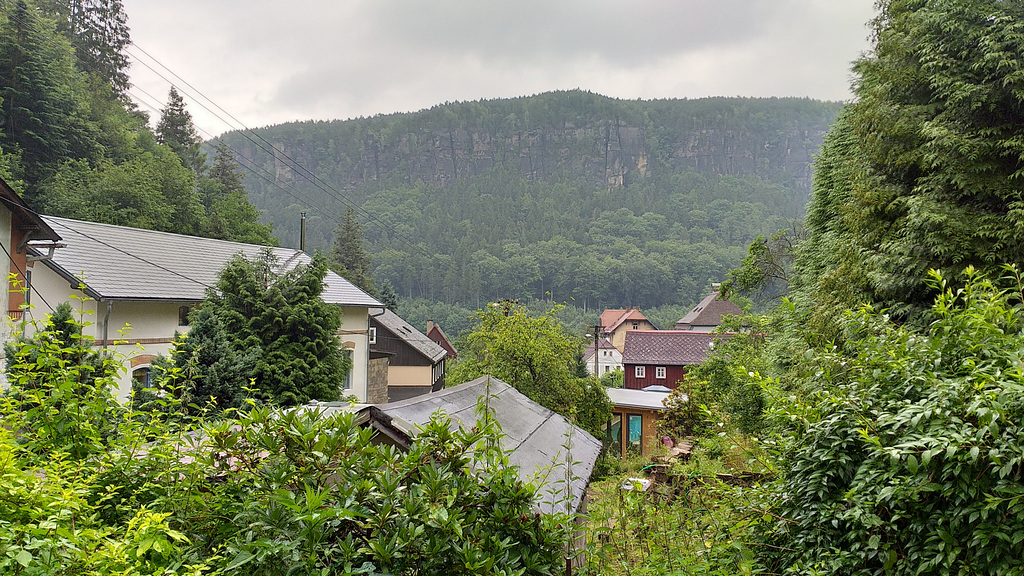 Niedergrund 019