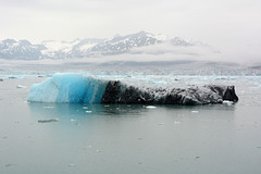 Alaska, The Columbia Bay, Drifting Floe from Blue to Dirt Grey Colors
