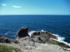 Au boutte du cap (3)