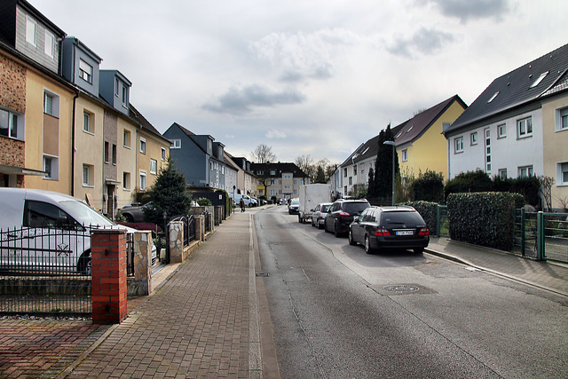 Frauenfelderstraße (Essen-Altenessen) / 2.03.2024