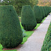 Topiary