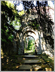 Les ruines de l'ancienne église romane de Saint André de Eaux (22)