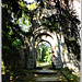 Les ruines de l'ancienne église romane de Saint André de Eaux (22)