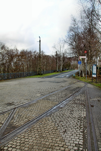 Reste von Werksbahngleisen (Westpark, Bochum) / 14.01.2019