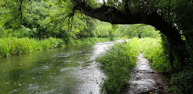 The Itchen Navigation